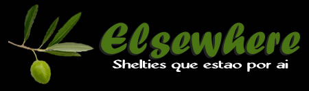 Shelties de Nossa Cria&ccedil;&atilde;o que est&atilde;o sendo muito bem cuidados por outros criadores