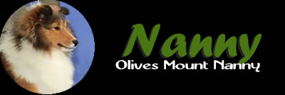 Nanny